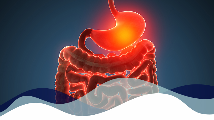 Chirurgie viscérale et digestive